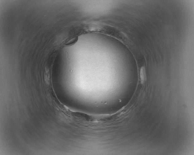 X0000053091443200507251552