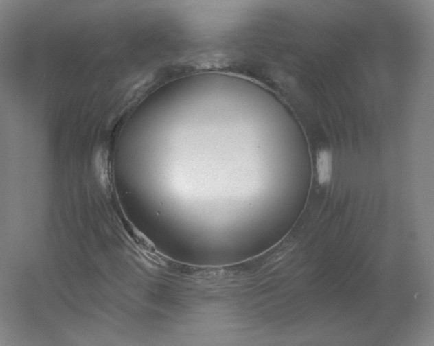 X0000053091444200507251552