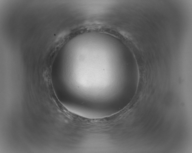 X0000053091445200507251552