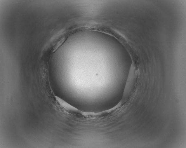 X0000053091447200507251552