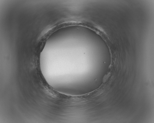 X0000053091448200507251552