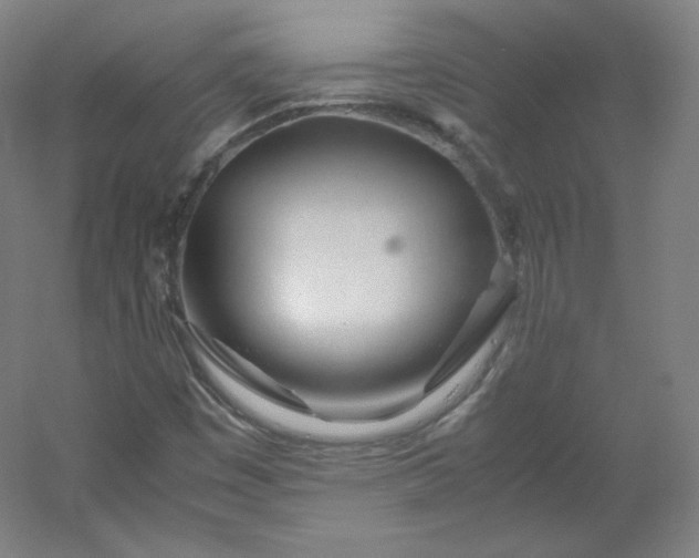 X0000053091449200507251552