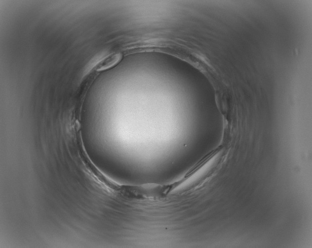 X0000053091450200507251552