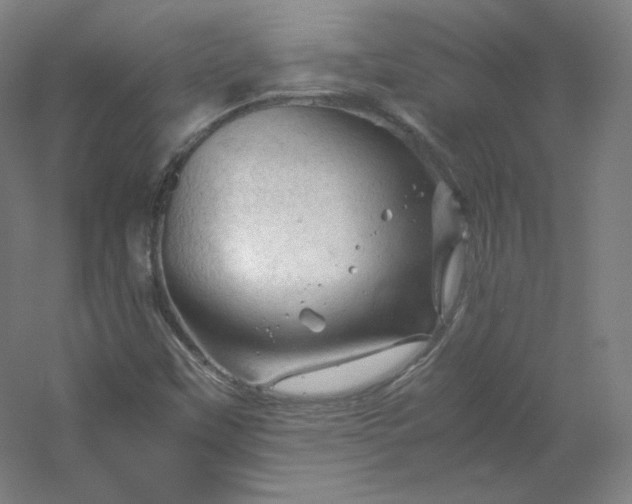 X0000053091451200507251552