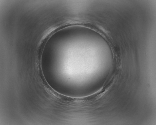 X0000053091453200507251552