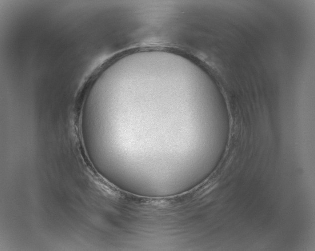 X0000053091454200507251552