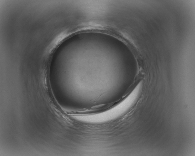 X0000053091455200507251552