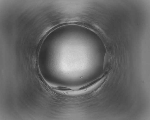 X0000053091457200507251552