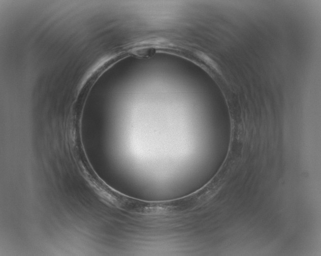 X0000053091458200507251552