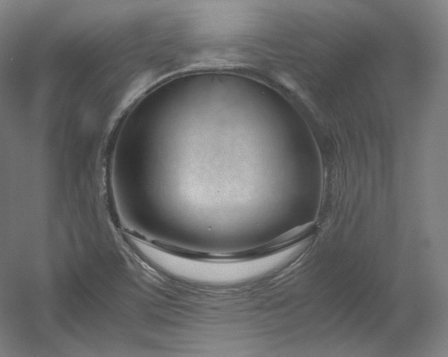 X0000053091459200507251552