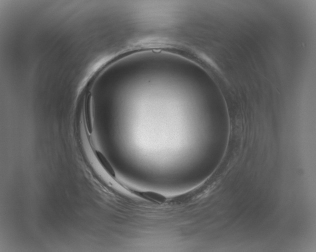 X0000053091461200507251552