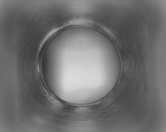 X0000053091462200507251552