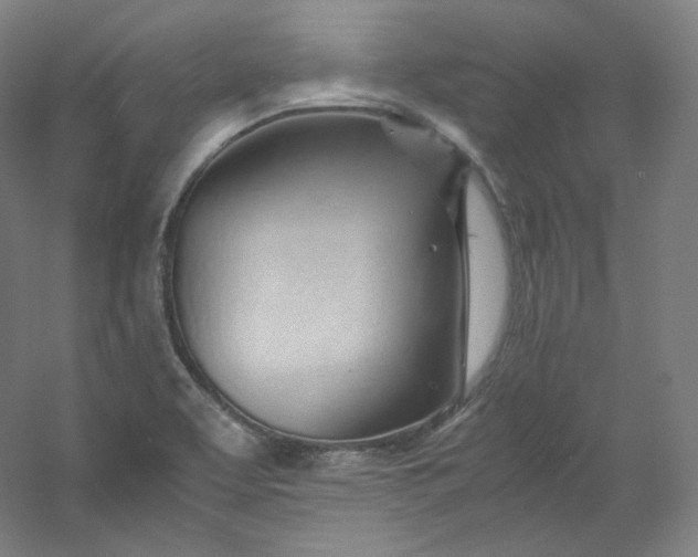 X0000053091463200507251552