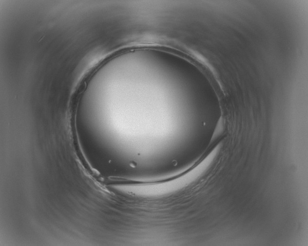 X0000053091464200507251552