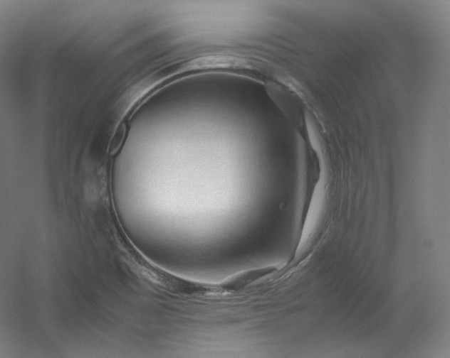 X0000053091465200507251552