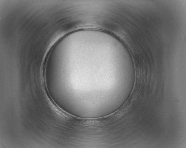 X0000053091466200507251552