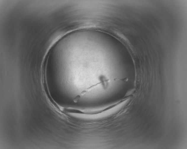 X0000053091467200507251552