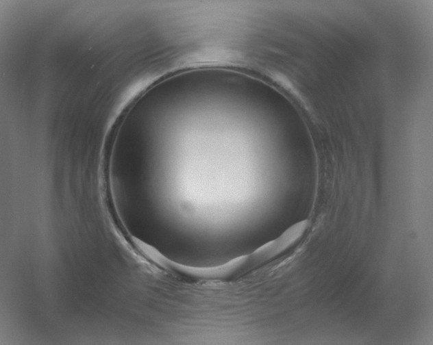 X0000053091469200507251552