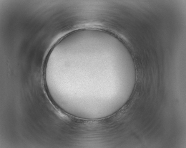 X0000053091470200507251552