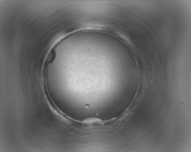 X0000053091471200507251552