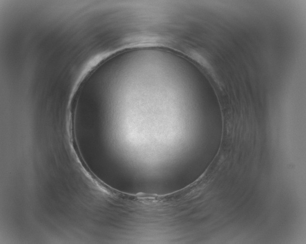 X0000053091472200507251552