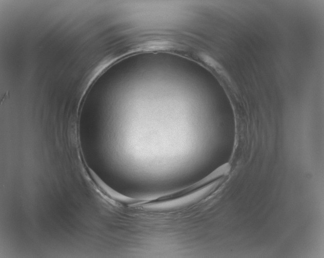 X0000053091473200507251552