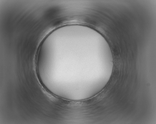 X0000053091474200507251552