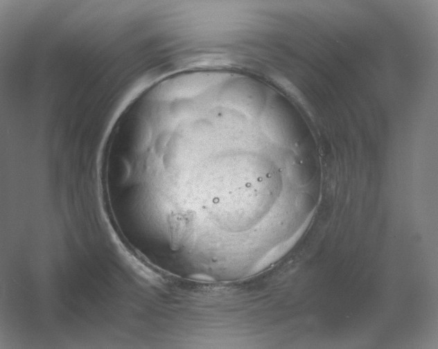 X0000053091475200507251552