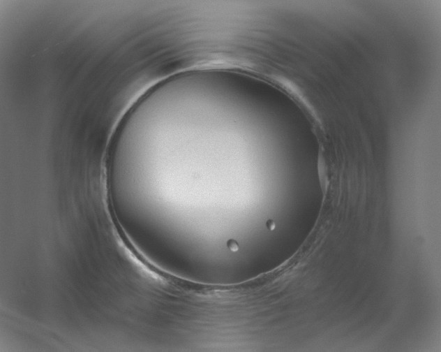 X0000053091476200507251551