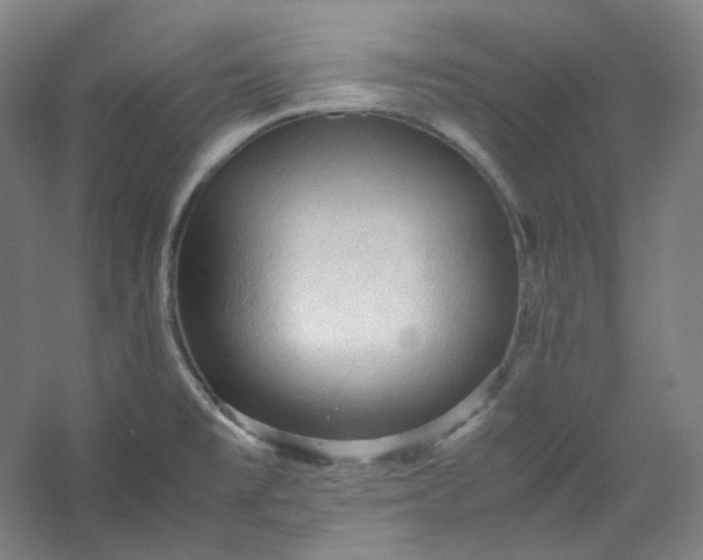 X0000053091477200507251551