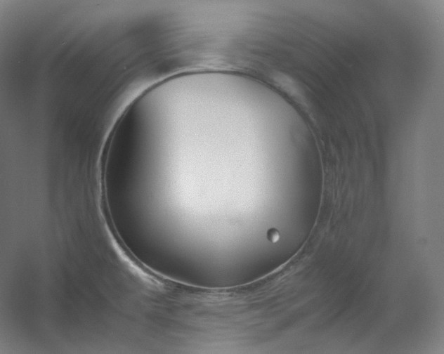 X0000053091479200507251551