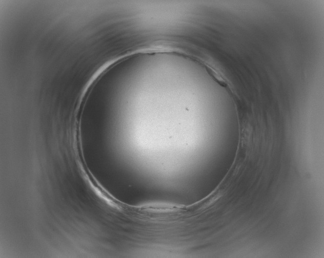 X0000053091484200507251551