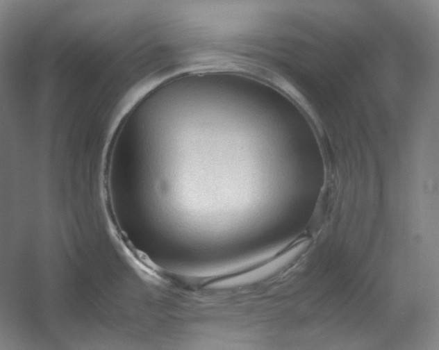 X0000053091485200507251551