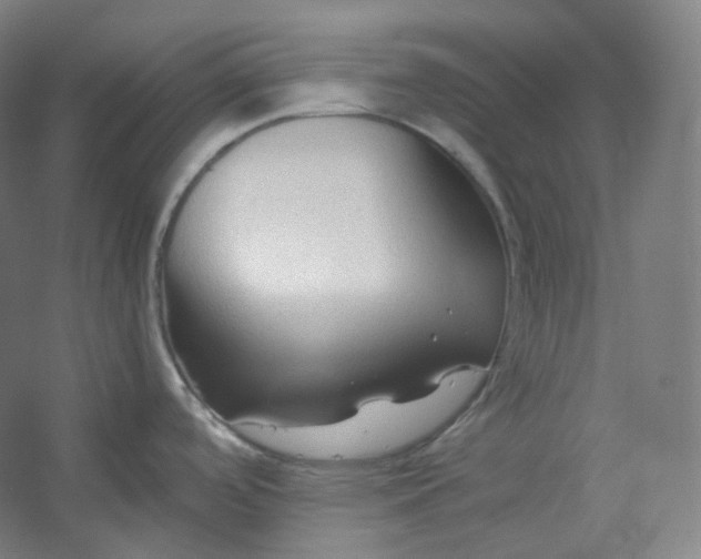 X0000053091488200507251551