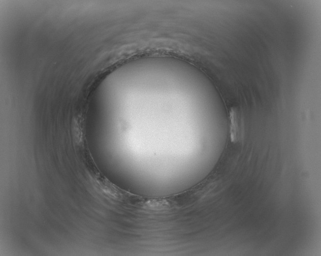 X0000053091491200507251551