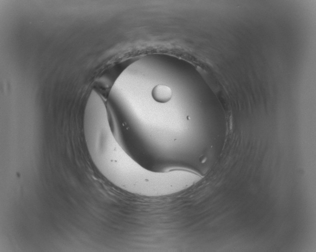 X0000053091492200507251551