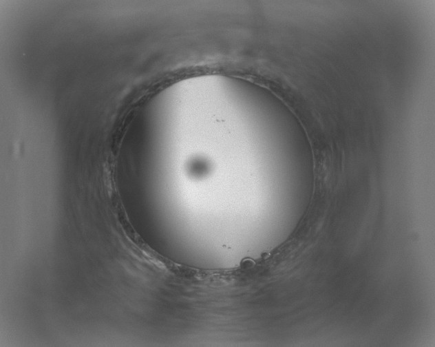 X0000053091493200507251551