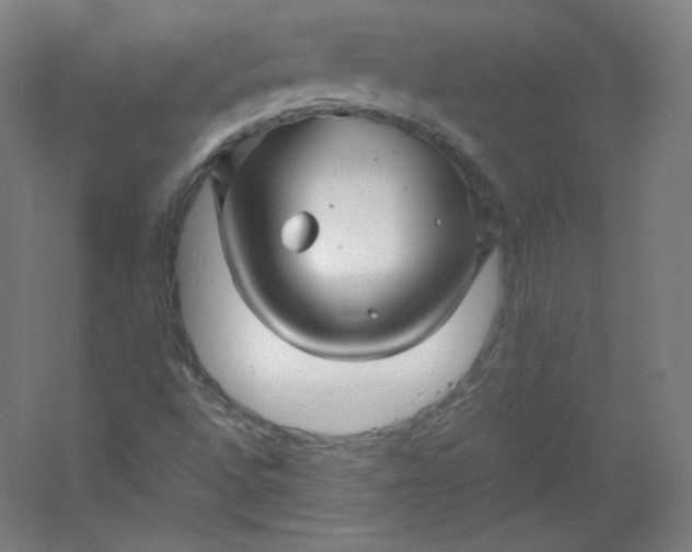 X0000053091496200507251551