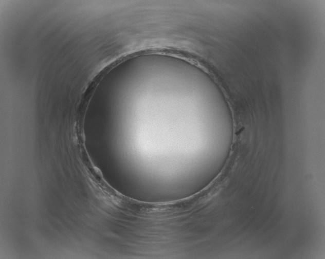 X0000053091497200507251551