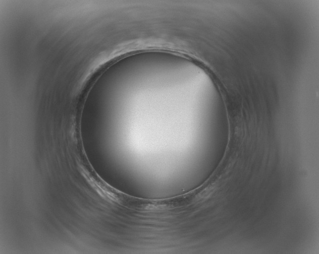 X0000053091499200507251551