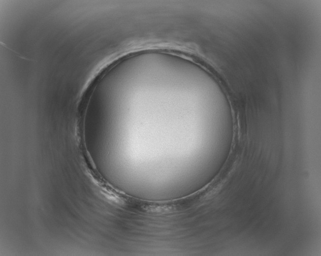 X0000053091501200507251551