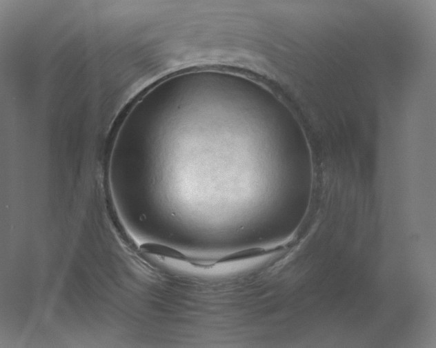 X0000053091505200507251551