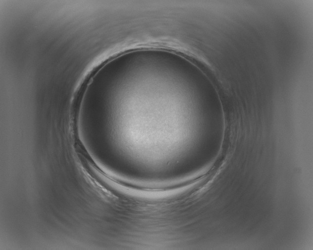 X0000053091506200507251551