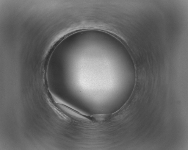 X0000053091507200507251551