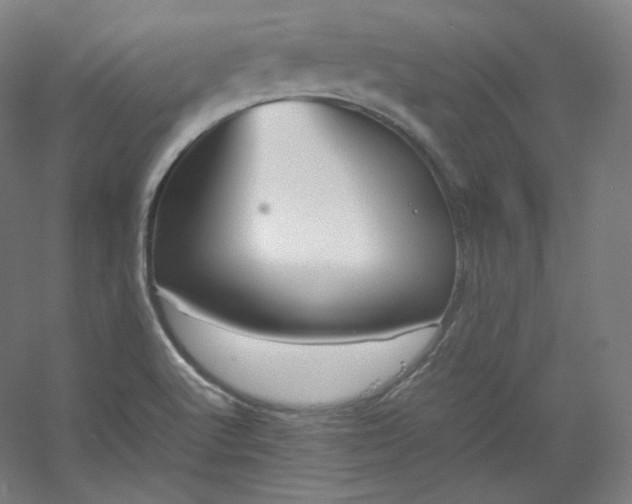 X0000053091512200507251551