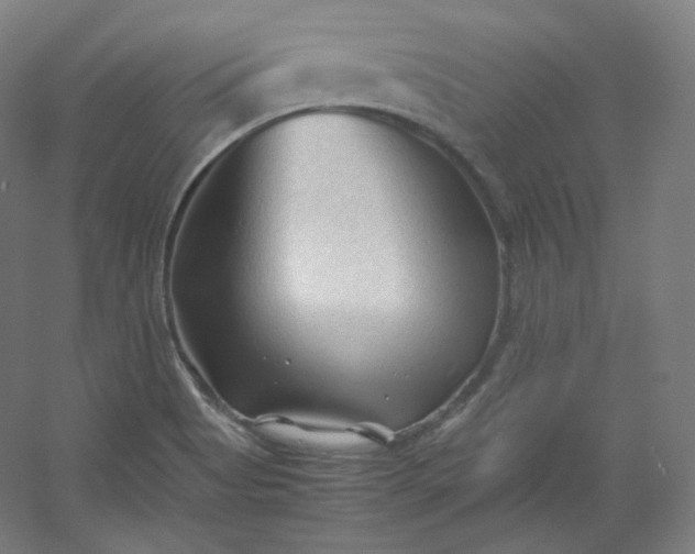 X0000053091513200507251551