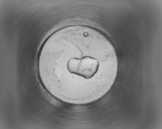 X0000053091514200507251551