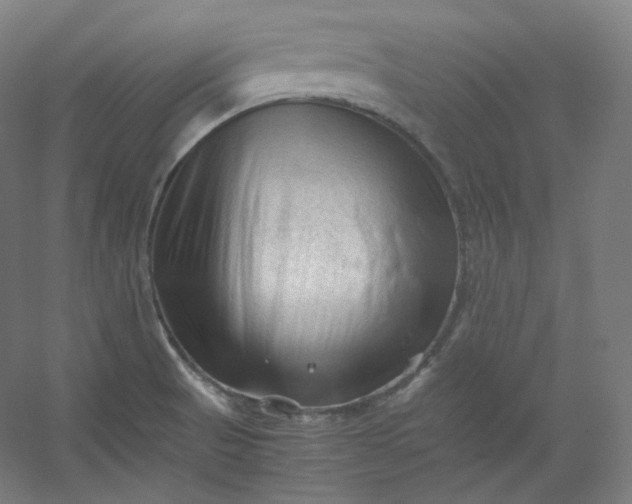 X0000053091521200507251551