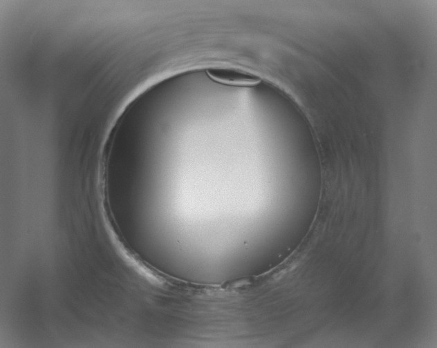 X0000053091526200507251551