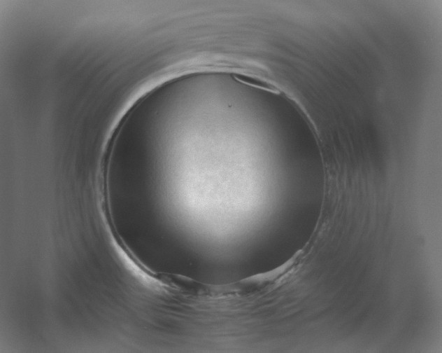 X0000053091531200507251551